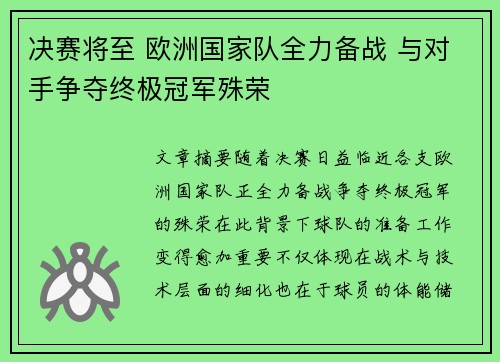 决赛将至 欧洲国家队全力备战 与对手争夺终极冠军殊荣