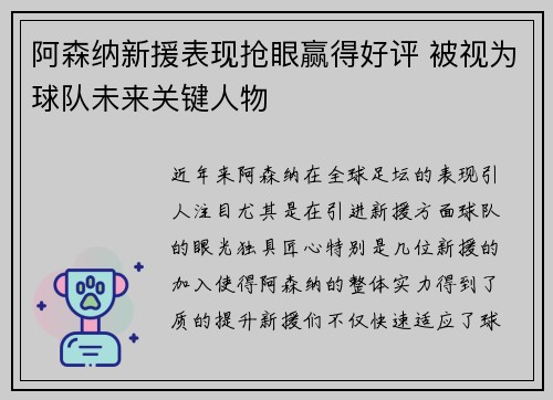 阿森纳新援表现抢眼赢得好评 被视为球队未来关键人物
