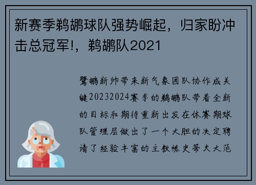 新赛季鹈鹕球队强势崛起，归家盼冲击总冠军!，鹈鹕队2021